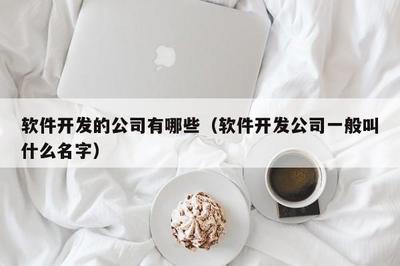 软件开发公司命名指南 从通用类型到网络与信息安全软件开发